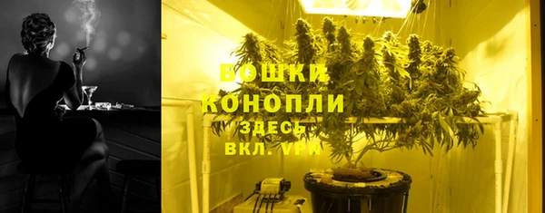 индика Бородино