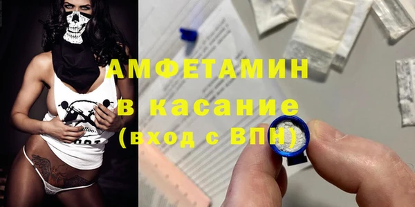 индика Бородино