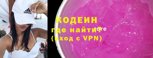 индика Бородино
