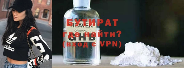 индика Бородино