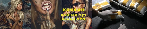 индика Бородино