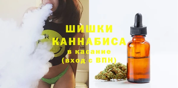 индика Бородино