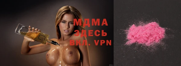 индика Бородино