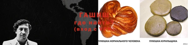 индика Бородино