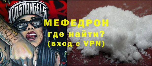 индика Бородино