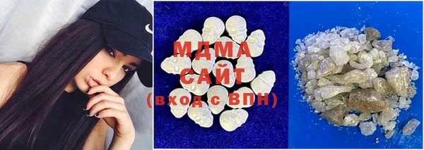 индика Бородино