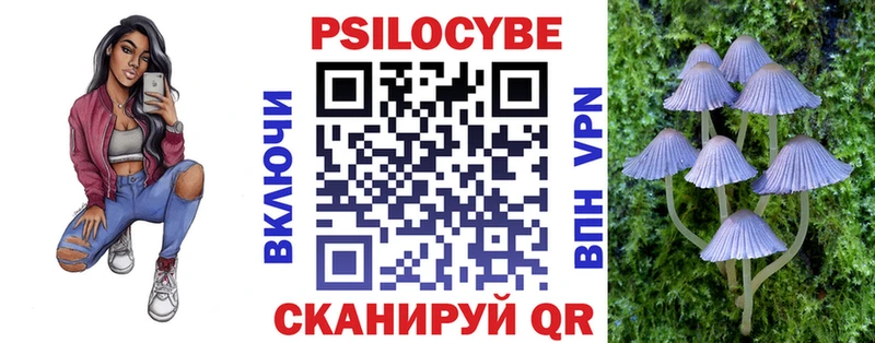 Галлюциногенные грибы Psilocybe Купить закладки Сокол